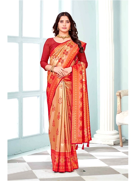 Parvati Multicolor Rapier Silk Saree-1