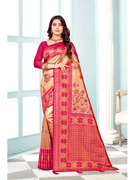 Parvati Multicolor Rapier Silk Saree-2