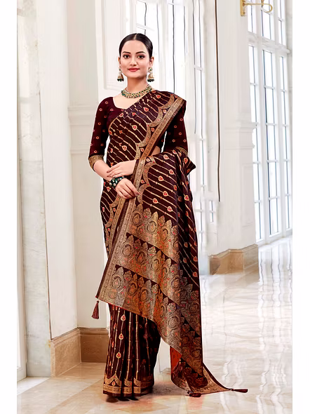 Parvati Multicolor Rapier Silk Saree-1