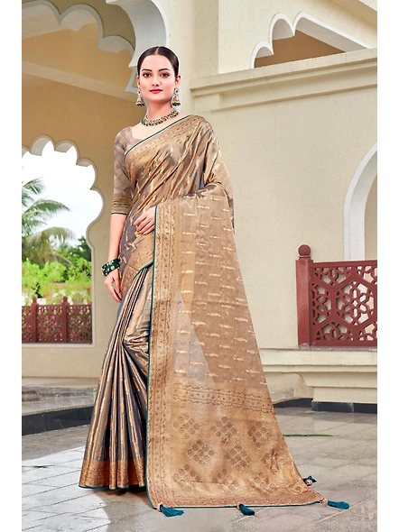 Parvati Multicolor Rapier Silk Saree-3