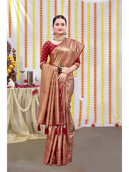 Parvati Multicolor Rapier Silk Saree-51025