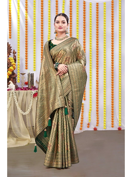 Parvati Multicolor Rapier Silk Saree-1