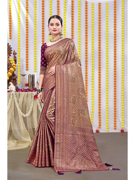 Parvati Multicolor Rapier Silk Saree-2