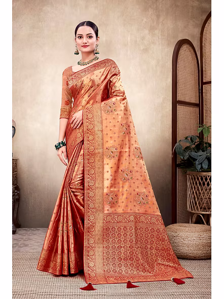 Parvati Multicolor Rapier Silk Saree-2