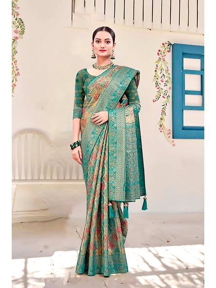 Parvati Multicolor Rapier Silk Saree-51028