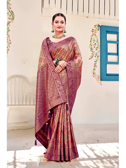 Parvati Multicolor Rapier Silk Saree-1