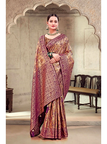 Parvati Multicolor Rapier Silk Saree-51029