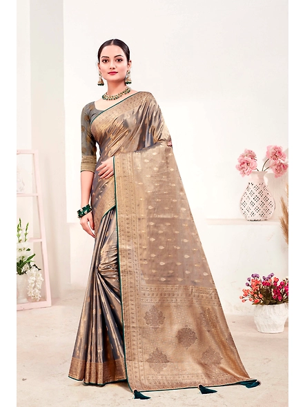 Parvati Multicolor Rapier Silk Saree-2