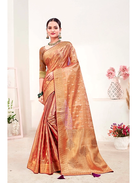 Parvati Multicolor Rapier Silk Saree-3
