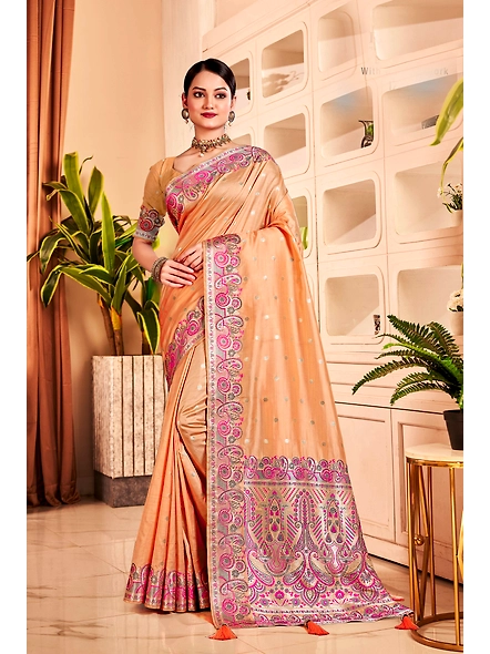 Parvati Multicolor Rapier Silk Saree-3