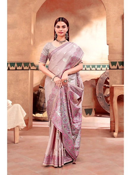Parvati Multicolor Rapier Silk Saree-1