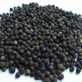 Tellicherry India Kerala Black Pepper, BOLD Quality 580 G/L