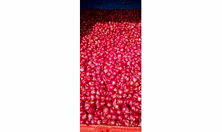 Onions, Fruits & Vegetables
