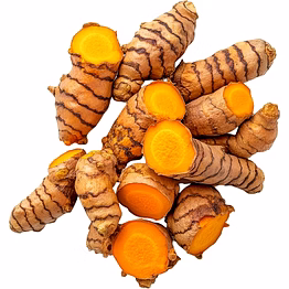 fresh turmeric roots