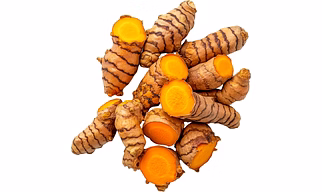 Fresh Turmeric roots