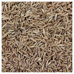 cummins seed
