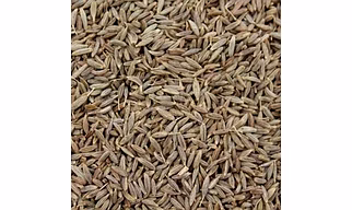 Cummins Seed