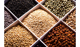 Pulses