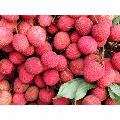 litchi