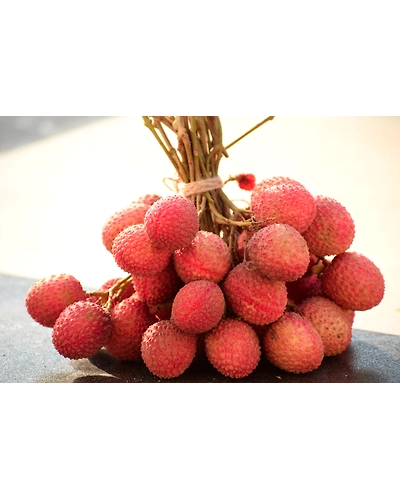 Best lychee-12493118