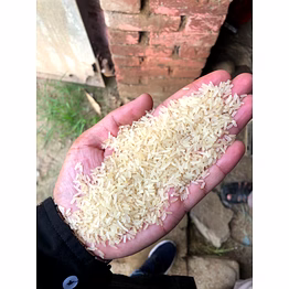 broken rice