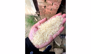 Broken rice