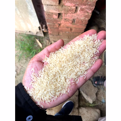 broken rice
