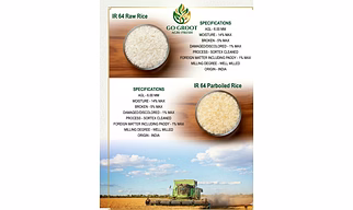 Rice