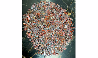 Red Botswana Agate Cabochon Loose Gemstone