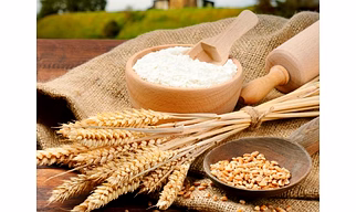 All Purpose Flour (Maida, Whear Flour)