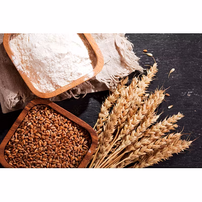 All Purpose Flour (Maida, Whear Flour)-1