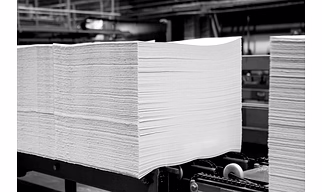 Hardwood and Softwood Paper Pulp