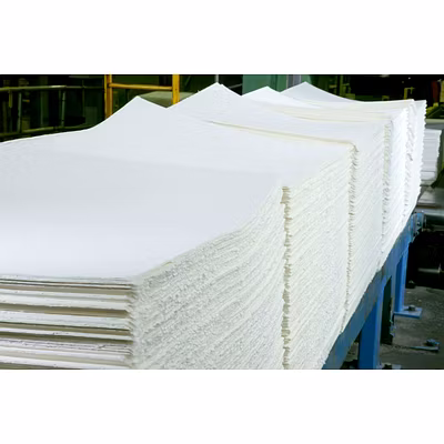 Hardwood and Softwood Paper Pulp-2