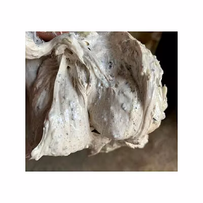 Raw Hing Asafoetida-1