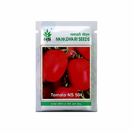 tomato seeds
