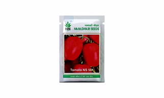 TOMATO SEEDS
