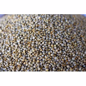 BAJARA- Green Millet