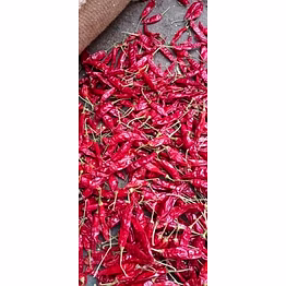 red dry chili