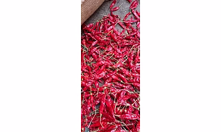 Red Dry Chili