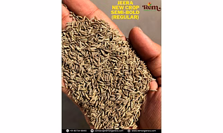 Cumin