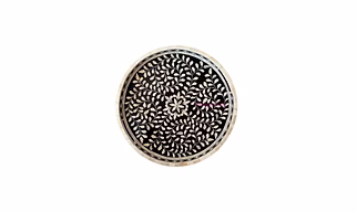 Handmade Customized Bone Inlay Round Decorative Serving Tray for Home & Office
