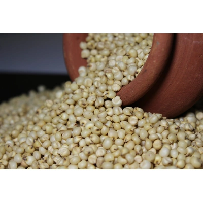 Sorghum(Jawar)