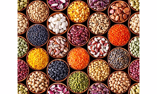 Finger Millet(Ragi)