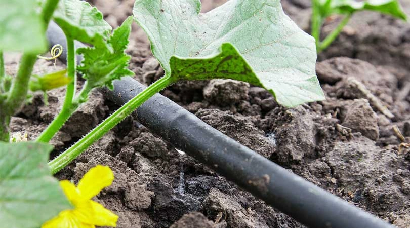 Drip Irrigation pipes-3