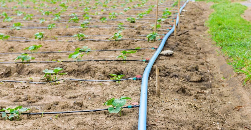 Drip Irrigation pipes-4