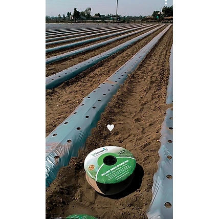 Flat Drip Pipe for irrigation use-3
