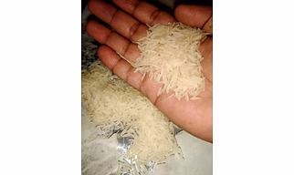 Basmati 1121