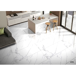 Lucius India Tiles 60x120CM Glossy Tiles