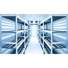 Cold Storage