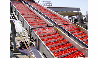 Tomato Processing Machinery - Boost Efficiency & Quality